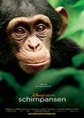 Schimpansen Filmplakat